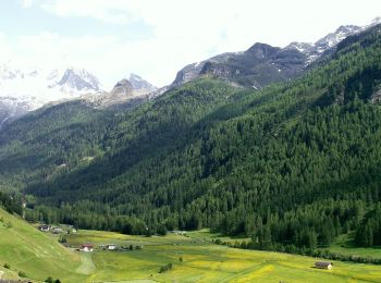 Tocht Te voet Sand in Taufers - Campo Tures - Durreck Höhenweg - Photo