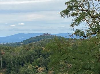 Excursión Senderismo Égliseneuve-près-Billom - Château de Montmorin - Photo