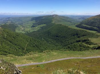 Excursión Senderismo Le Falgoux - Puy mary  - Photo