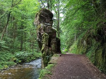 Tocht Stappen Vagney - 03-07-21 Vagney - roche du Mettey- saut du bouchot - Photo