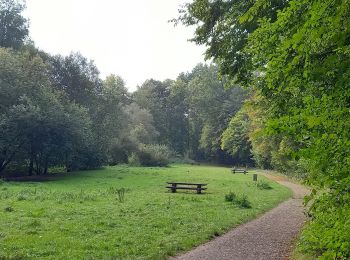 Randonnée Marche Uccle - 2020.09.29.P - Photo