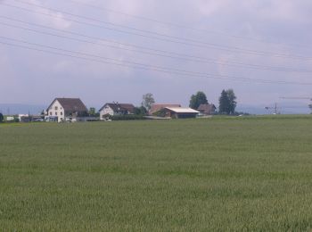 Randonnée A pied Lindau - Lindau - Brütten Bus - Photo