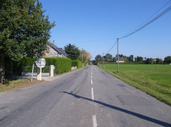 Excursión A pie Guichen - Les bords de Vilaine - Photo