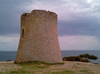 Tocht Te voet Banyalbufar - Camí de sa Volta des General - Photo