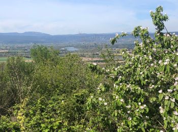 Randonnée Marche La Garde-Adhémar - Le Val des Nymphes  - Photo