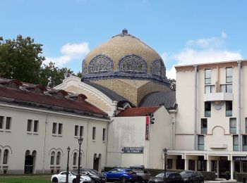 Tocht Stappen Vichy - vichy Historique  - Photo