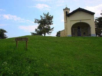 Percorso A piedi Condove - IT-546 - Photo