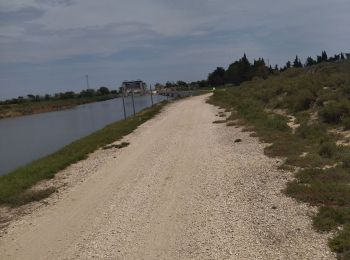 Randonnée Vélo de route Le Grau-du-Roi - Pérols Lunel a.morte grau vélo 18.06.23 - Photo