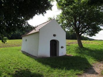 Tour Zu Fuß Pfreimd - Eixlberg Rundweg 1 - Photo