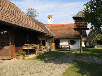 Tocht Te voet Gerersdorf-Sulz - Berg- & Waldweg - Photo