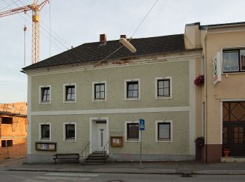 Percorso A piedi Hofkirchen im Mühlkreis - Wasserfallrunde - Photo