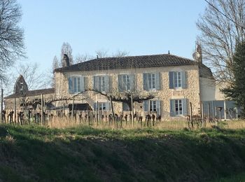 Randonnée Marche Villeneuve-de-Duras - Saint leger - Photo