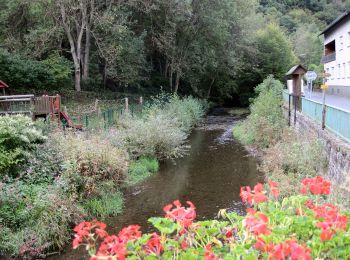 Randonnée A pied Mayen - Eifel-Traumpfad Förstersteig - Photo