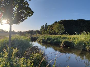 Tocht Mountainbike Les Clayes-sous-Bois - bougie des Clayes a Versailles, st nom la bretèche et Rennemoulins - Photo