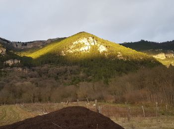 Tour Nordic Walking Saint-Étienne-de-Gourgas - Cirque du Bout du Monde - Photo