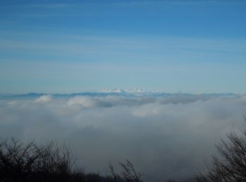 Tour Zu Fuß okres Vranov nad Topľou - Hermanovský turistický okruh - Photo