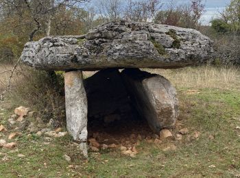 Trail sport Lentillac-du-Causse - Lentillac boucle  - Photo