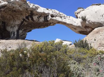 Excursión Senderismo La Ciotat - Dent du chat la Ciotat - Photo