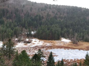 Tour Wandern Wildenstein - Vosges 2020 : col de Bramont - Rainkopf (2020-12-20).ori - Photo