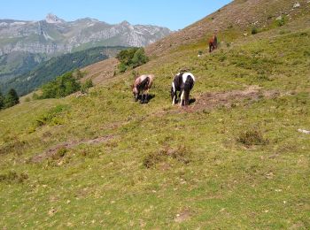 Trail Walking Aydius - Lac du Montagnon - Photo