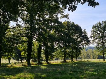 Tocht Stappen Le Vigen - boissac les places - Photo