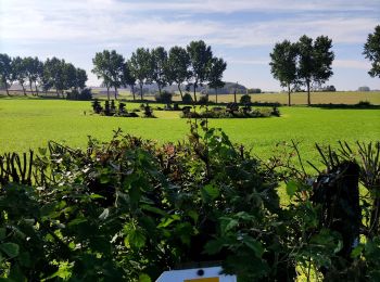 Randonnée Marche Beauvechain - L’écluse : douce campagne Brabançonne - Photo