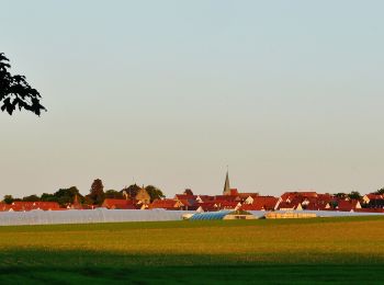 Randonnée A pied Eberdingen - Rundwanderweg 1, Sonnenberg, Start Sportplatz Nussdorf - Photo