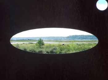 Randonnée Marche Oudalle - Le marais d'Amfard - Photo