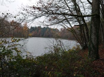 Randonnée Marche Villedômer - la Grand'Vallée - Saint-Laurent-en-Gâtines via PRs - 26.8km 225m 5h35 (35mn) - 2022 12 03 - Photo