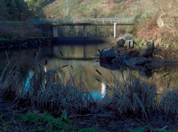 Tour Zu Fuß Punxín - Camino Natural Rio Barbantiño - Photo