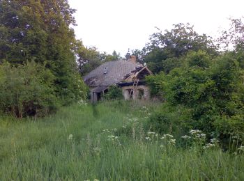 Tour Zu Fuß Sankt Gall - P+ (OKT - Pisztrángos-tó - Csehbánya - Közép-Dunántúli Piros) - Photo