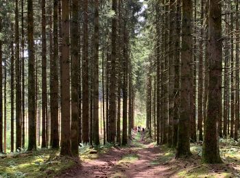 Trail Walking Neufchâteau - Challenge marches chestrolaises Grandvoir 2020 - Photo