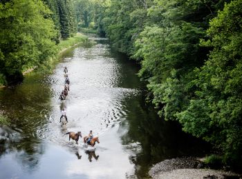 Randonnée Randonnée équestre Bertrix - BERTRIX FB : Chevaux et attelage sur les traces de la route de Madame d'Artagnan - Photo