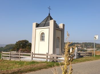 Randonnée Vélo électrique Renaix - Saint-Sauveur - Beausite - Photo