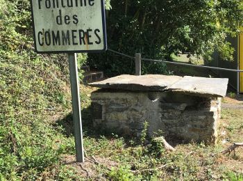 Tour Wandern Sion-les-Mines - 08.09.2019 - SION LES MINES - Photo