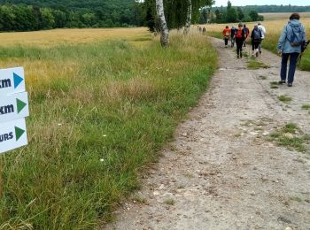 Excursión Senderismo Fère-en-Tardenois - Fère-en-Tardenois - les Foulées des Bruyères du 26-06-2022 - Photo