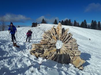 Percorso Racchette da neve Corrençon-en-Vercors - Château  Julien en circuit partiel - Photo