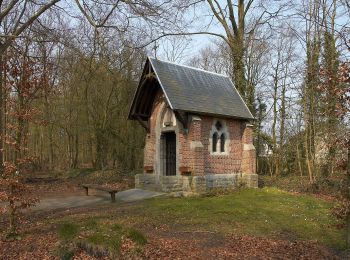 Tocht Te voet Brugge - Drie Kastelen Wandelroute - Photo