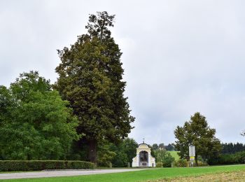 Randonnée A pied St. Agatha - Rabensteinerblick - Photo