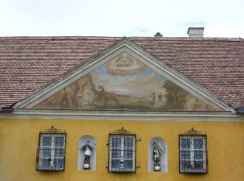 Excursión A pie Gemeinde Dürnstein - Loibner Holzweg zur Kreuzung Hengelwand (blau) - Photo