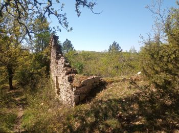 Randonnée Marche Maxou - Bois des Carrières_Le Lac-Blanc 5 km - Photo