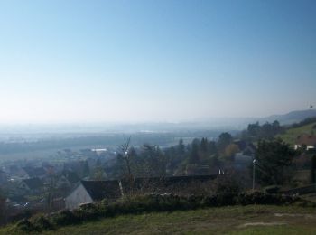 Randonnée Marche Sotteville-sous-le-Val - 2023S214-Sotteville sous le Val - Photo