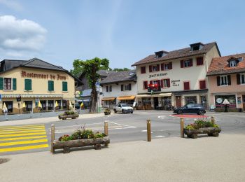 Tocht Fietstoerisme Mijoux - LES ROUSSES - COL DE LA FAUCILLE  - Photo