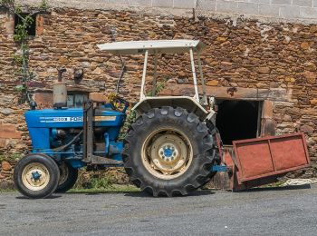 Percorso A piedi Conques-en-Rouergue - Le Sentier de Saint-Roch - Photo