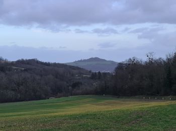 Tocht Stappen Montauville - Le père Hilarion Montauville  - Photo