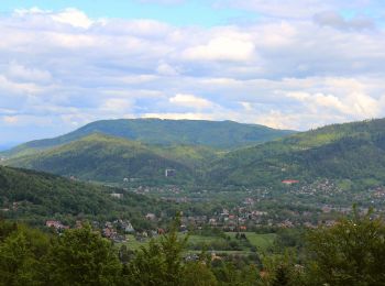 Trail On foot Bystra - Buczkowice Centrum - Chata na Groniu - Photo