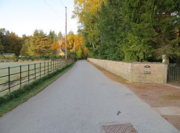 Trail On foot  - Fungle Road - Photo