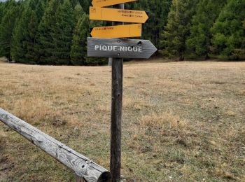 Randonnée Marche Le Petit Jardin - Le queyron de furfande - Photo