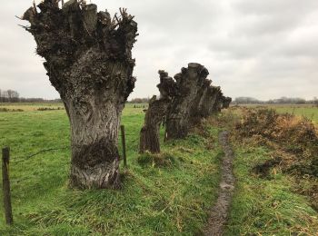 Excursión Senderismo Gante - Langs Schelde en E17 - Photo