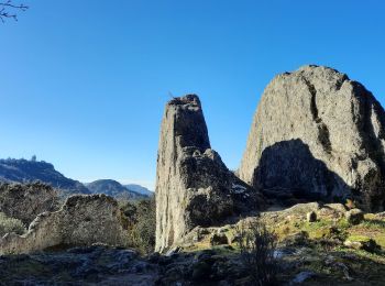 Randonnée Marche Chantemerle-lès-Grignan - Chantemerle Clansayes 15km - Photo